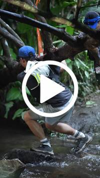 BIB:  <button type="button" onclick="openModal(27240248)" class="btn btn-primary btn-sm float-right" data-toggle="modal" data-target=".modal-high-quality">
                <i class="fa fa-download"></i> Download
                </button>